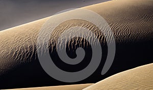 The shapes of sand dunes in lut desert