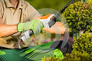 Shaping Plants Using Cordless Shrub Trimmer