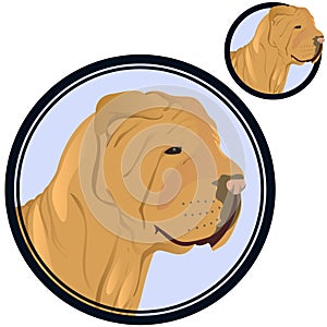 Shar pei dog head in circle