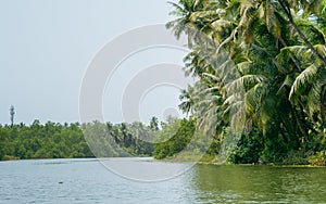 sharavati river on a clear sky