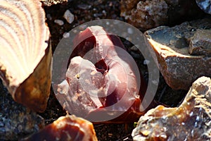 Shard of red flint found in a sand pit