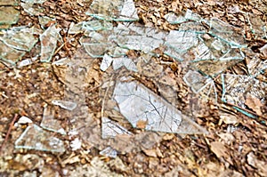 Shards of glass photo