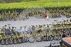 Share the bike all over the streets of China.