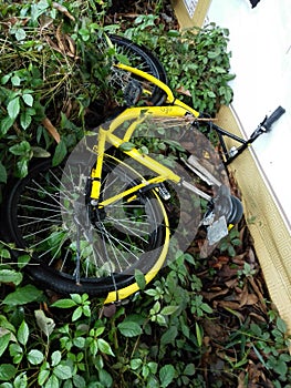 Shared bikes were thrown to the ground