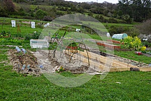 shared vegetable gardens in the city. different types of cultivation in community vegetable gardens