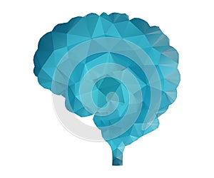 Shares of the brain, polygon, 3s