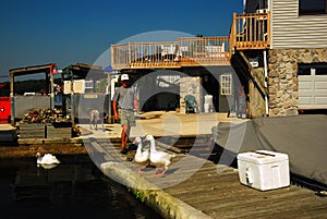 Sharing the Dock