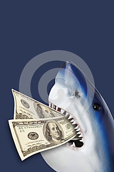 Shark with 100 USD in mouth.