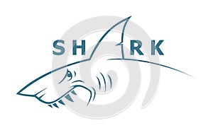 Shark banner