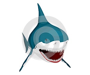 Shark. Big dangerous marine predator. Toothy swimming angry shark. Underwater character of sea animal. Vector