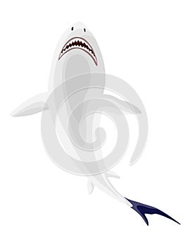 Shark. Big dangerous marine predator. Vector shark character. Flat isolated illustration on a white background