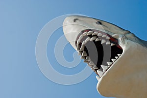 Shark bite sculpture