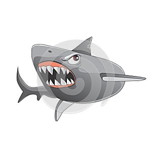 Shark cartoon