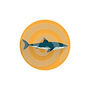 shark colorful flat icon with long shadow.