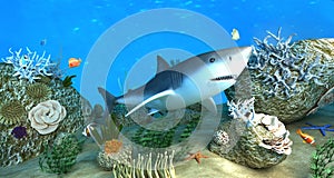 Shark among coral reefs photo