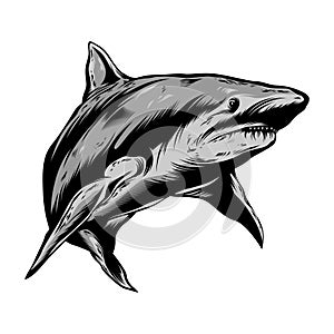 Shark design illustration