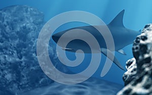 Shark diving in deep sea