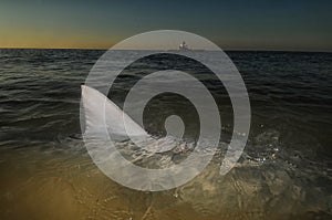 Shark fin above water in ocean with kayak