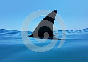 Shark fin on blue waves risk danger - 3d rendering