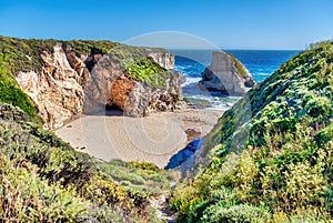 Shark Fin Cove