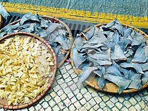 Shark Fin Drying in the Sun - Macau
