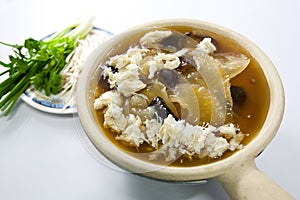 Shark Fin Soup