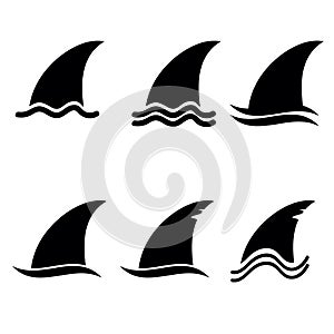 Shark fin vector