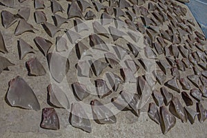 Shark Fins