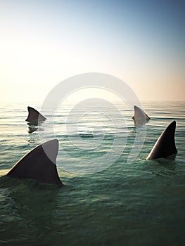 Shark fins circling above the ocean water. photo
