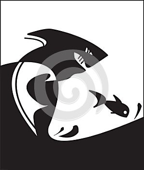 Shark and fish