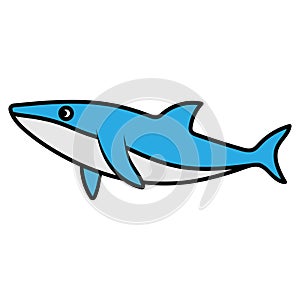 shark icon design template vector illustration