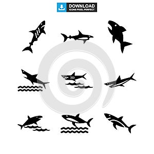 Shark icon or logo isolated sign symbol vector illustration