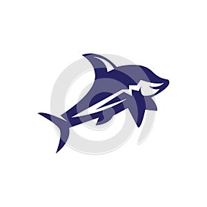 Shark icon and symbol vector illustration