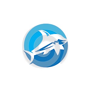 Shark icon and symbol vector illustration