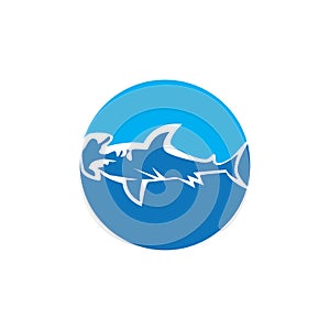 Shark icon and symbol vector illustration