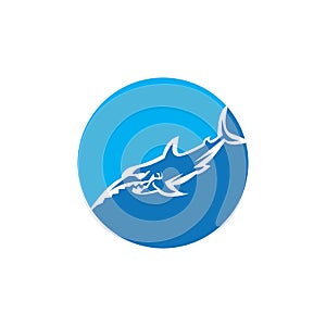 Shark icon and symbol vector illustration