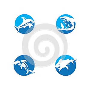 Shark icon and symbol vector illustration