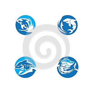 Shark icon and symbol vector illustration