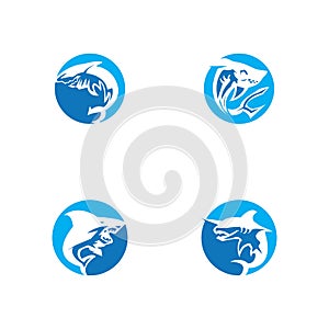 Shark icon and symbol vector illustration