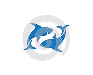 Shark illustration Logo