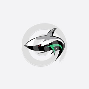 Shark illustration of mascot logo color design vector