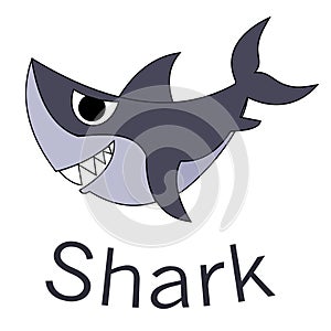 Shark Image photo