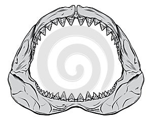 Shark Jaw photo