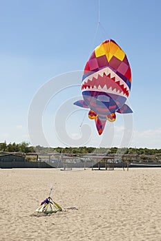 Shark kite flying on the beach. Rosolina Mare, Veneto, Italy. Vertical shot