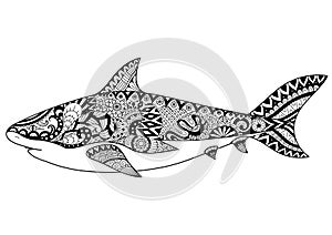 Shark line art design for coloring book for adult, tattoo, t shirt design and other decorations