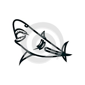 Shark line art vector illustration. Shark simple outline design