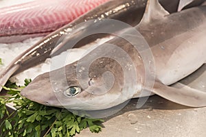 Shark on local market fishmonger