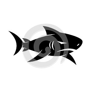 Shark logo design Mascot vector isolated modern template