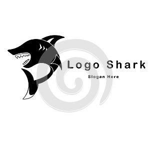 shark logo design vector illustration. shark silhouette in black and white. wild animals.