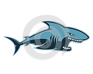 Shark logo mascot